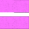 imgref